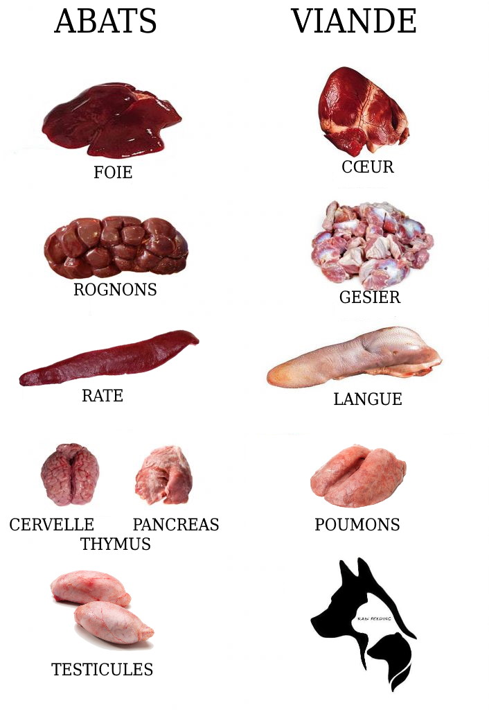 Les organes ou abats Raw feeding Prey Model